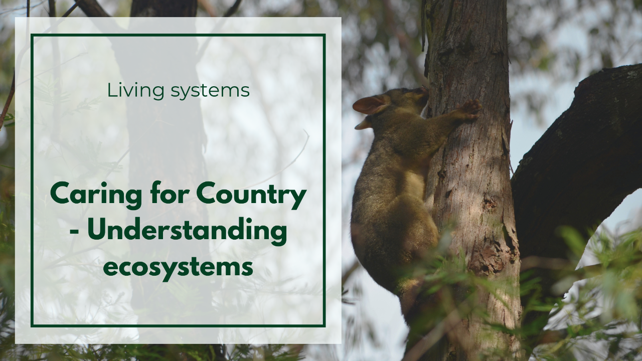 Living systems - Caring for Country - Understanding ecosystems